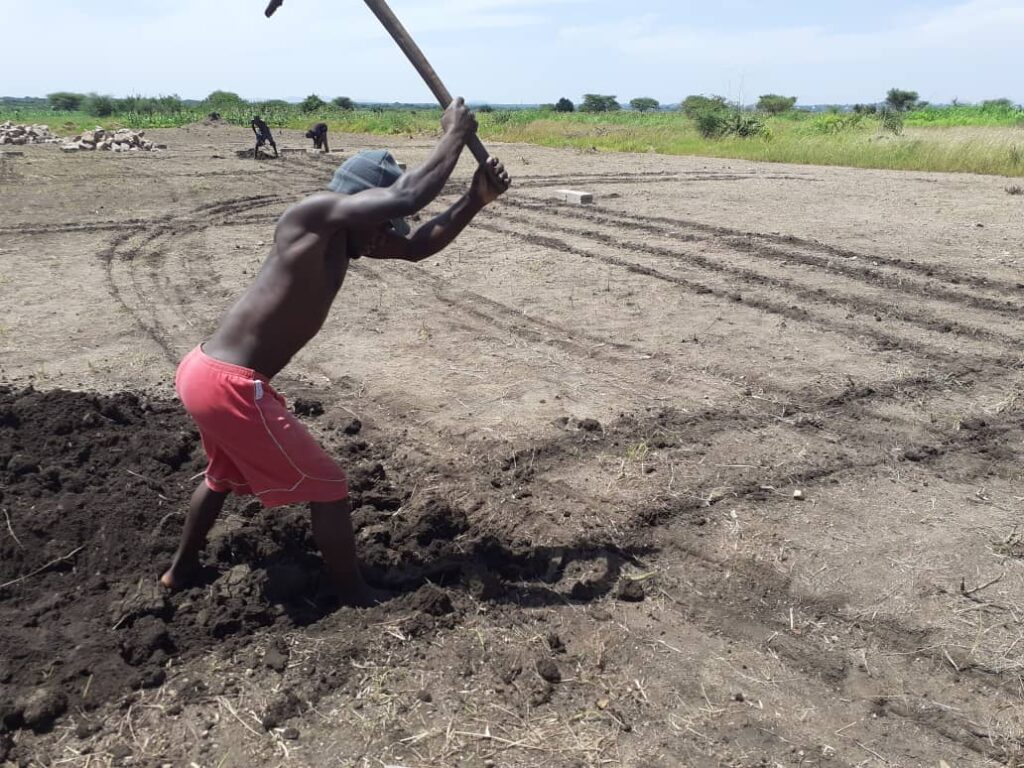 Man digging soil with a pickaxe in a large field.