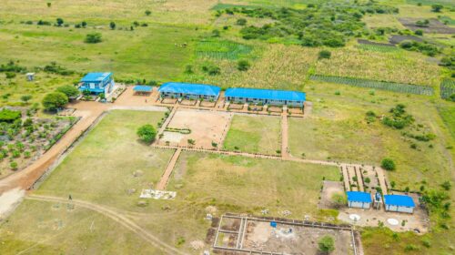 This aerial image depicts a large compound or campus set in a rural or semi-rural area. The compound has multiple buildings with blue roofs, likely used for various purposes such as classrooms, offices, or accommodations. The surrounding area is predominantly green, with patches of cultivated land, indicating agricultural activity. The layout appears well-organized, with pathways connecting the different buildings and sections of the compound. There are also some fenced areas and structures under construction, suggesting ongoing development or expansion. The overall setting reflects a tranquil environment with a focus on education and development.